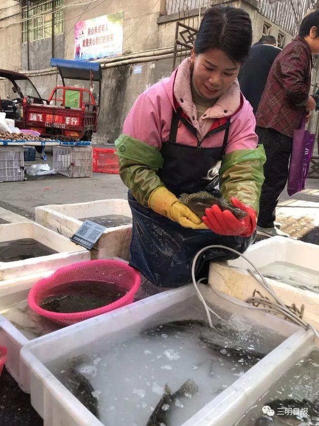 市區列東街牡丹路的早市攤位,從小貨車上搬下裝著各類魚蝦的塑料箱子