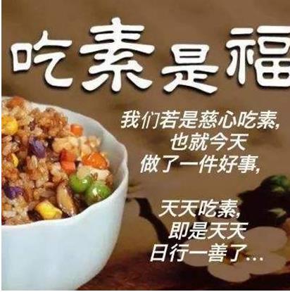 香港素食明星金虹汝请您吃素食生日面包自助餐结善缘 大闽网 腾讯网