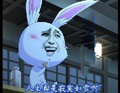 人生真是寂寞如雪啊
