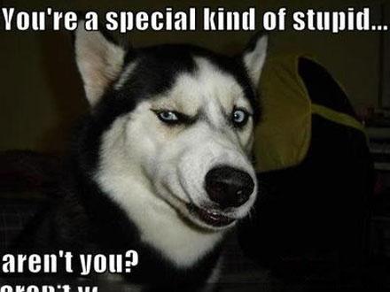 洋葱新闻:暴力不能解决问题