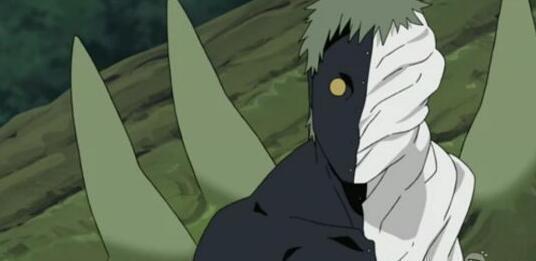 随着年代的过去,她的血缘又分化为宇智波,日向,千手以及漩涡等家族.