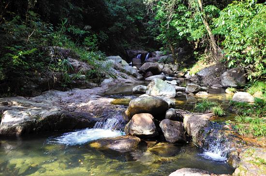 旅遊資訊 省內資訊 > 炎炎夏日 挽起褲腿去玩水啦 法雲寺後山的鹿角坑