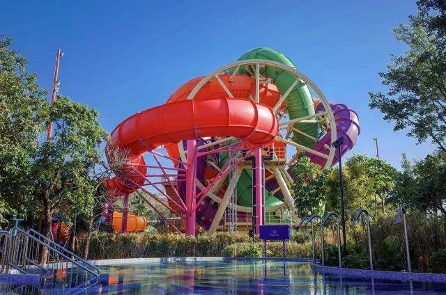 今年,让我们玩点不一样的_大粤网_腾讯网