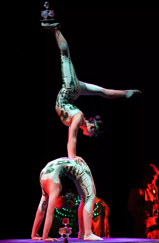 中国杂技团历经六十余年发展,汇聚了一大批优秀的杂技演员,教练和国内