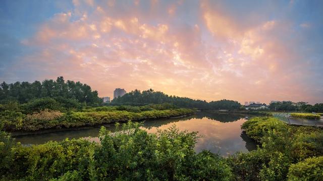 萬㎡紅樹林國家城市溼地公園(現國家4a級旅遊景區)旁,淡澳河入海口臨