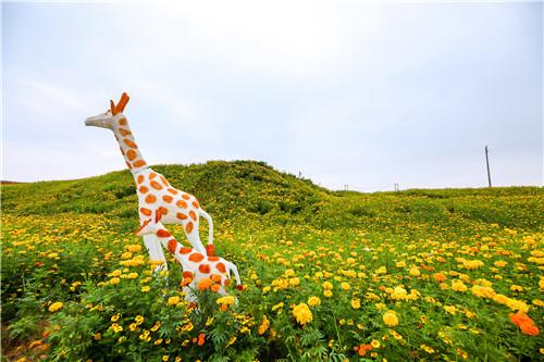 世界长鹿·中国银都 | 2018郴州国际休闲旅游文化节在永兴长鹿盛大