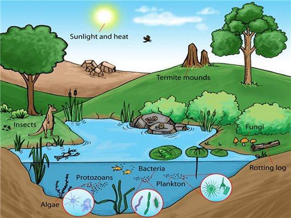 小三江平原土地利用变化对生态系统服务价值的影响研究