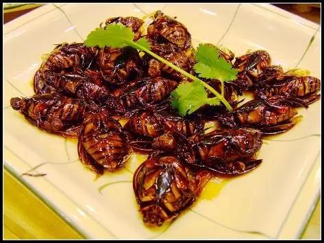 广东油炸蟑螂图片