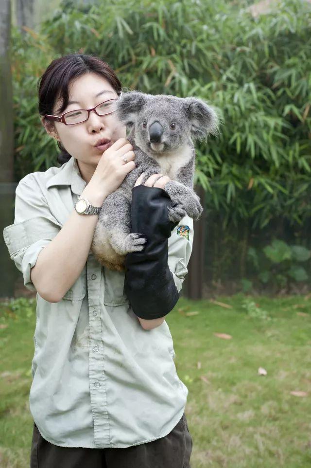 20周年系列报道:考拉妈妈的12年