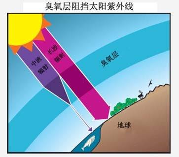 中國進出口受控消耗臭氧層物質清單(第5批)