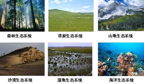 生态系统多样性_生态系统多样性包括_淘宝助理
