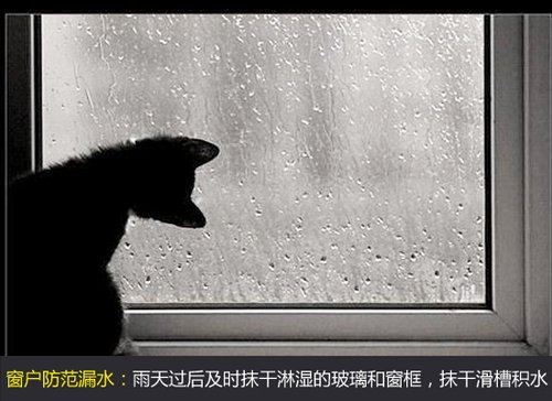 车子打不着火 车子窗户没关下雨进水保险赔吗