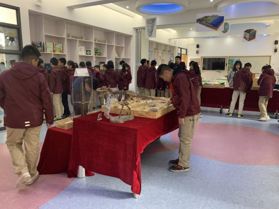 化石博物馆走进武汉瑞景小学