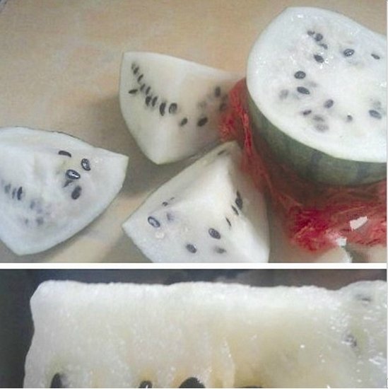 [新闻线索报料] 市民买到白瓤西瓜 专家称或是稀有品种(图)