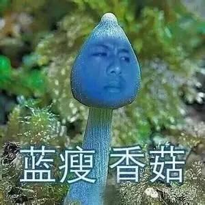 《咬文嚼字》公布年度十大流行语,“小目标”等入选