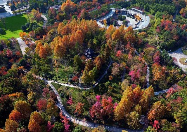 定了!武汉地铁7号线、11号线将于10月1日开通