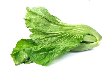 第四种食物:芥菜.