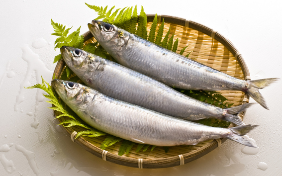 父母想要宝宝高人一等 五种食物千万别错过 - 风帆页页的日志 - 网易