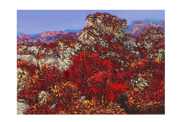 ��л�ഺ�ͻ�����չ���ڱ����Ϲ������ݿ�չ