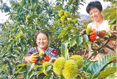 秦皇岛：一条串起致富希望的旅游路