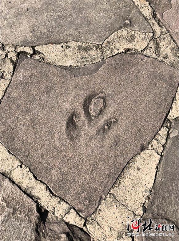 避暑山庄与周边景区道路上出现的恐龙足迹化石. 王博摄