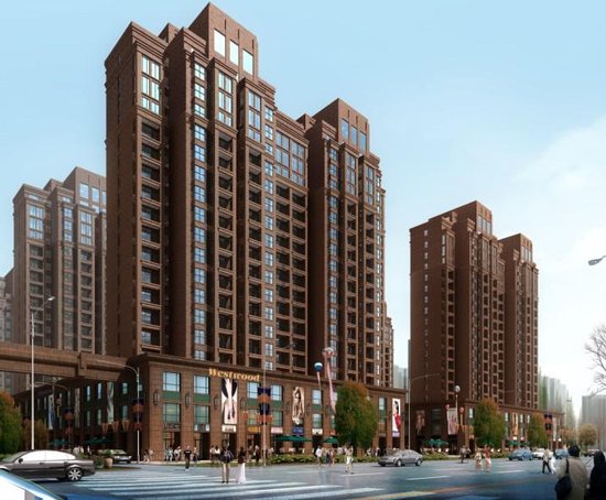 合富辉煌合肥滨湖·观澜华庭项目汇报沟通案第三部分