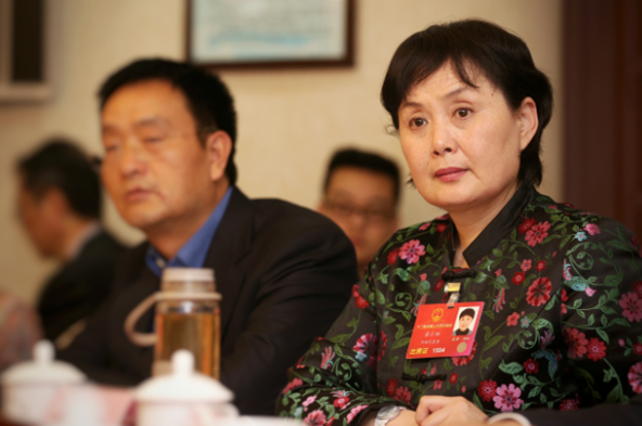 人大代表崔小田:弘扬传统文化 加快《周易》申遗