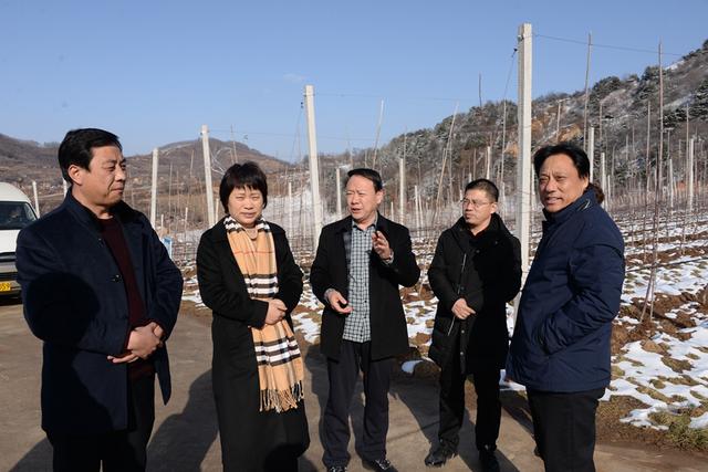 灵宝 春潮涌动气象新