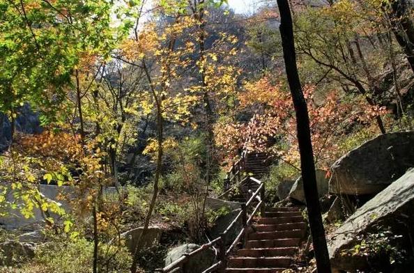 河南最美红叶观赏地图全新发布