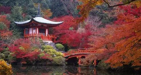 河南最美红叶观赏地图全新发布