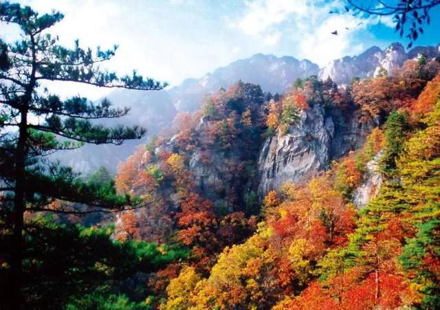 河南最美红叶观赏地图全新发布