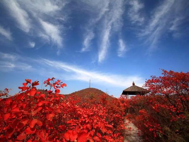 河南最美红叶观赏地图全新发布