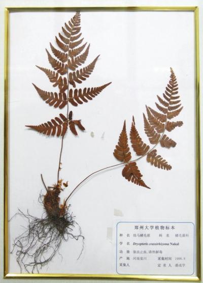 色彩斑斓的各种蝴蝶,我国第一代电影放映机,古代各朝代的钱币……这