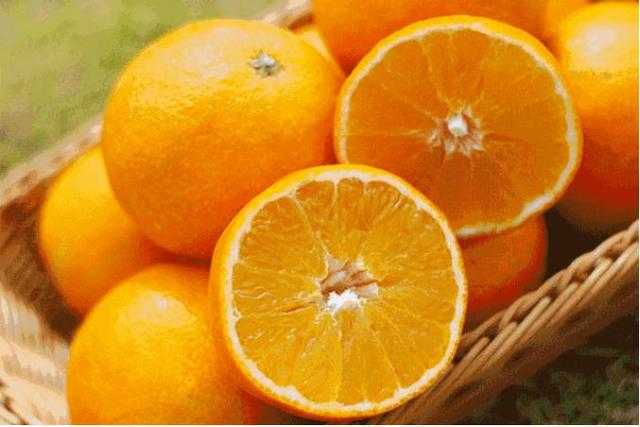 佳田尚书院|全橙热恋 橙色风暴席卷天中