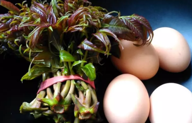 爱吃香椿当心啦都看看吧现在还不晚