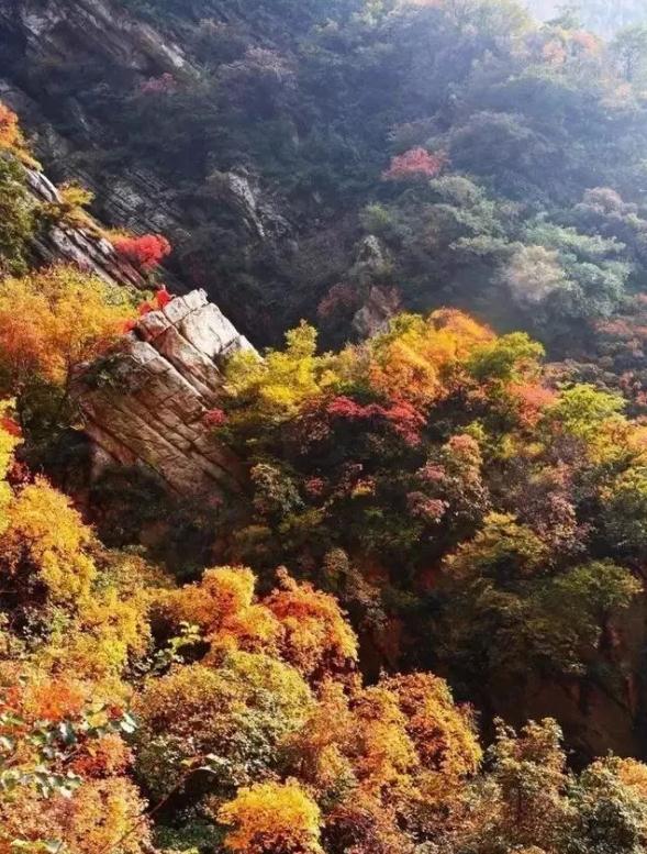 河南最美红叶观赏地图全新发布