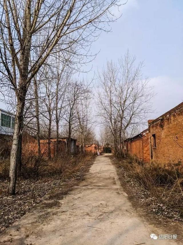 女记者回信阳老家:小山村还在 年味却渐行渐远_邓州新闻网_河南要闻