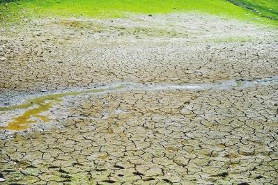 河南遇63年最严重夏旱 驻马店部分地区重度干旱