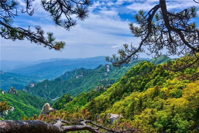 老家河南·玩美鲁山2019鲁山县春季游启动