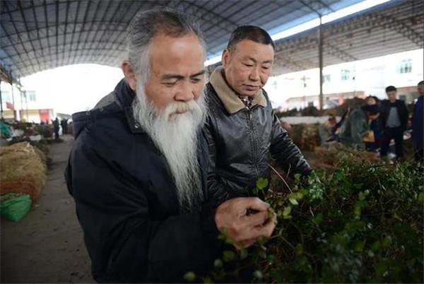 电能替代传统中草药加工 助"天下第一汤"传承