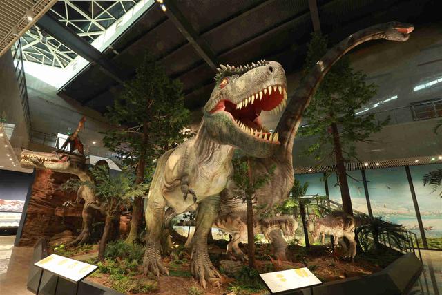 湖南地质博物馆恐龙馆图片