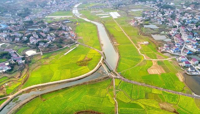 大美经开区魅力大埠桥亲子耕读文化旅游节暨油菜花节3月18日开启