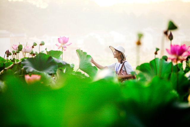 酷暑难耐!这个盛夏来天然氧吧南岳感受23℃清凉