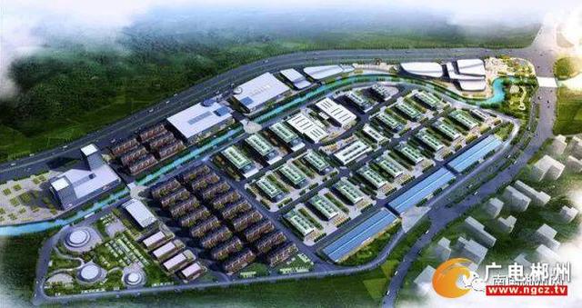 五谷杂粮批发：健康之选的新风向
