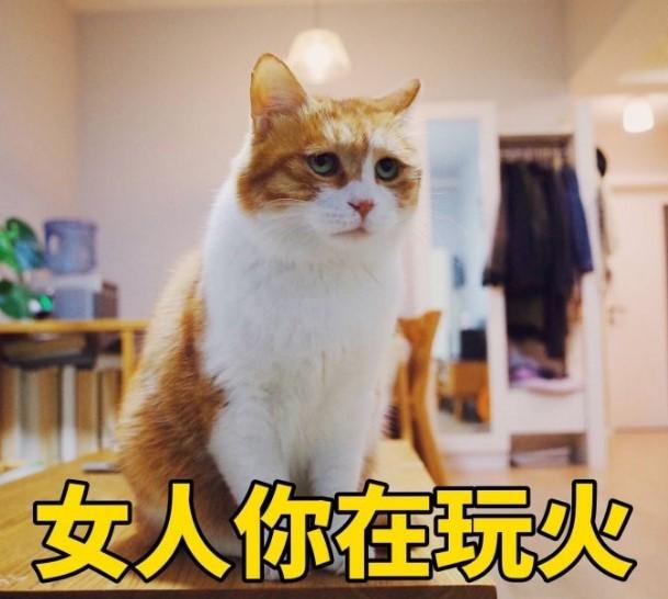 最重要的是,老公再也不用担心我的sk-ii被我家大橘猫碰瓷啦!