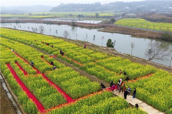 来离长沙城区最近的油菜花海 把春天带回家