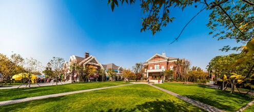 幸福生活+浪漫的夏天