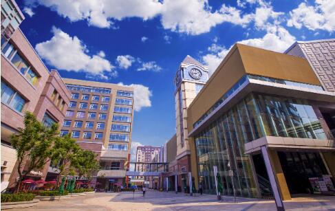 调控成常态房贷利率上涨 成本增加为家人换墅如何选择