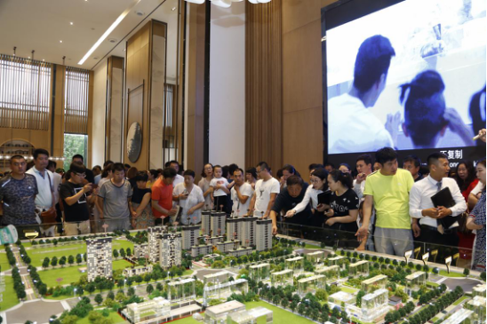究竟是什么样的示范区开放 引发全城千人争睹？