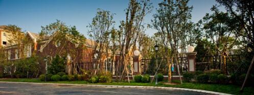 幸福生活+感恩母亲节